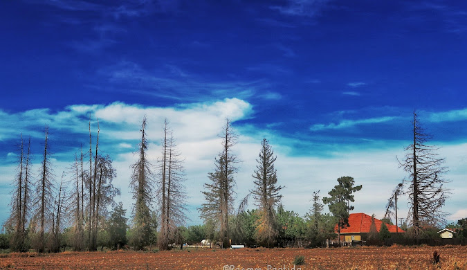 Home Care in Atwater, CA